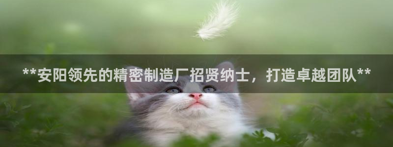 彩神通关注码金码对应码：**安阳领先的精密制造厂招贤纳士，打造卓越团队**