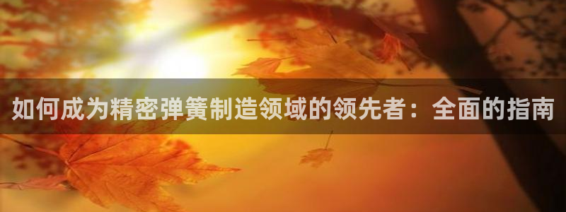 彩神平台可以破解吗：如何成为精密弹簧制造领域的领先者：全面的指南