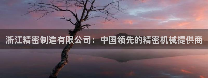彩神网正规吗：浙江精密制造有限公司：中国领先的精密机械提供商