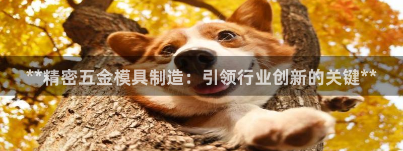 彩神争霸官网登录平台：**精密五金模具制造：引领行业创新的关键**