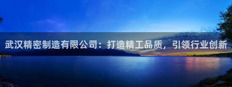 彩神viii下载安卓：武汉精密制造有限公司：打造精工品质，引领行业创新
