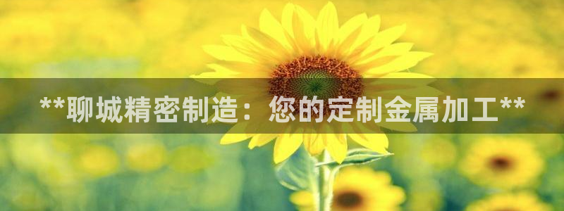 下载彩神通关注码：**聊城精密制造：您的定制金属加工**