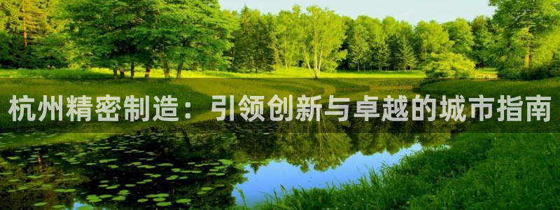 彩神大发cp：杭州精密制造：引领创新与卓越的城市指南