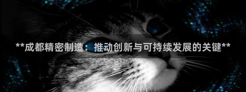 彩神ii官方网：**成都精密制造：推动创新与可持续发展的关键**