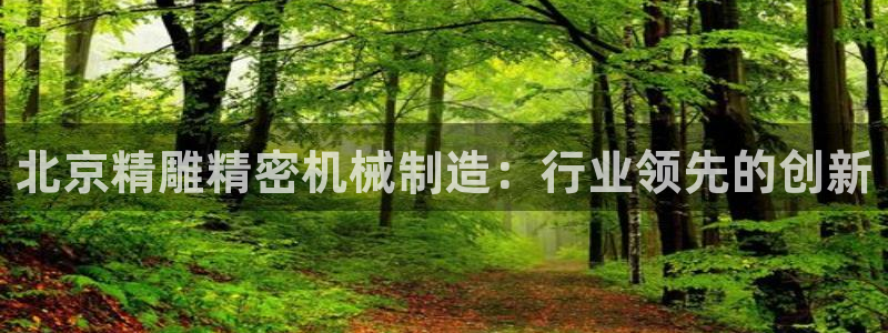 彩神vii手游下载：北京精雕精密机械制造：行业领先的创新