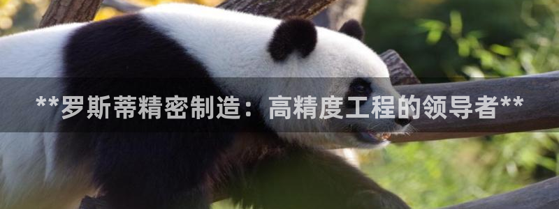 彩神系列平台：**罗斯蒂精密制造：高精度工程的领导者**