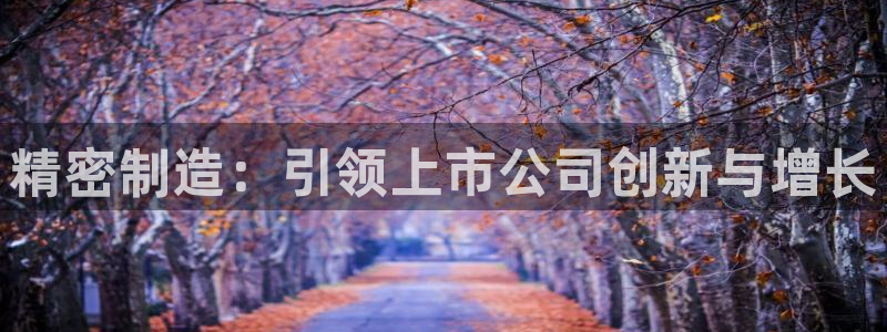 彩神争霸官方登录：精密制造：引领上市公司创新与增长