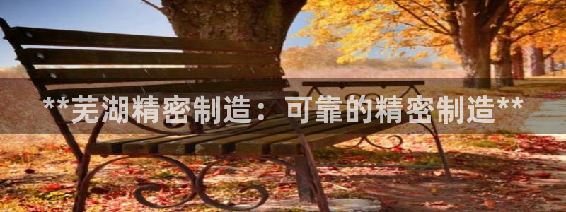 彩神是什么平台的游戏：**芜湖精密制造：可靠的精密制造**