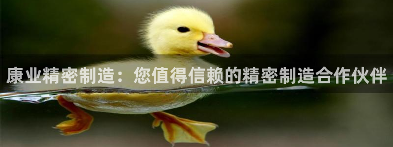 彩神数码科技有限公司：康业精密制造：您值得信赖的精密制造合作伙伴