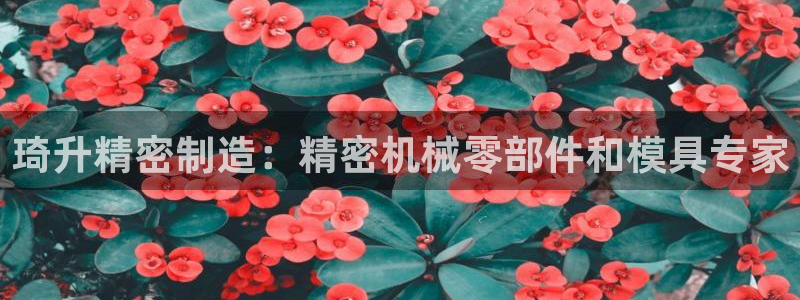 彩神平台是真的吗：琦升精密制造：精密机械零部件和模具专家