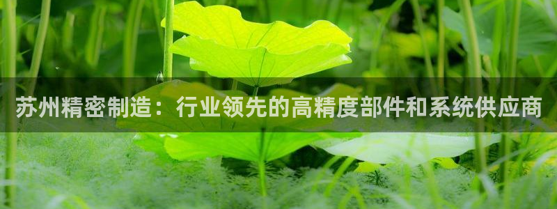 彩神v平台：苏州精密制造：行业领先的高精度部件和系统供应商