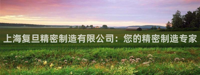 下载彩神通关注码：上海复旦精密制造有限公司：您的精密制造专家