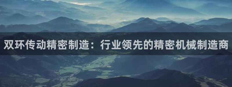 彩神官方邀请码是多少：双环传动精密制造：行业领先的精密机械制造商