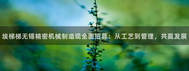 彩神用户登录