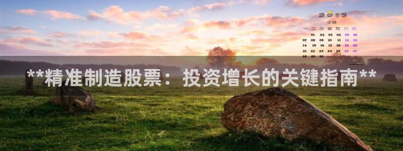 彩神Vll：**精准制造股票：投资增长的关键指南**