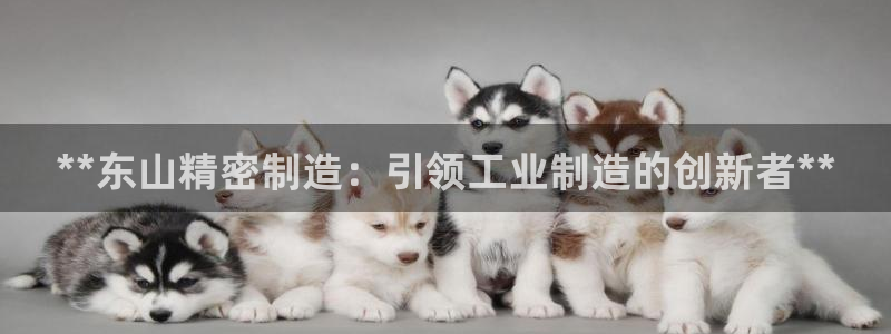 彩神v8下载网址：**东山精密制造：引领工业制造的创新者**