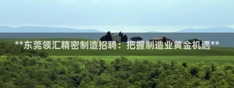 彩神iv能赚钱吗：**东莞领汇精密制造招聘：把握制造业黄金机遇**
