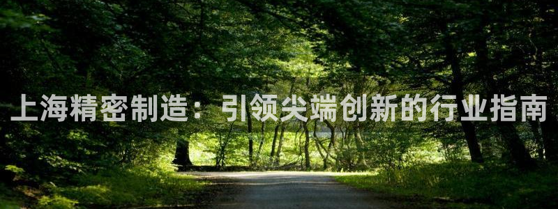 彩神iv是正规平台吗?：上海精密制造：引领尖端创新的行业指南