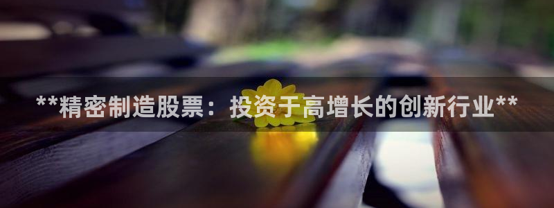 大发彩神官网下载：**精密制造股票：投资于高增长的创新行业**