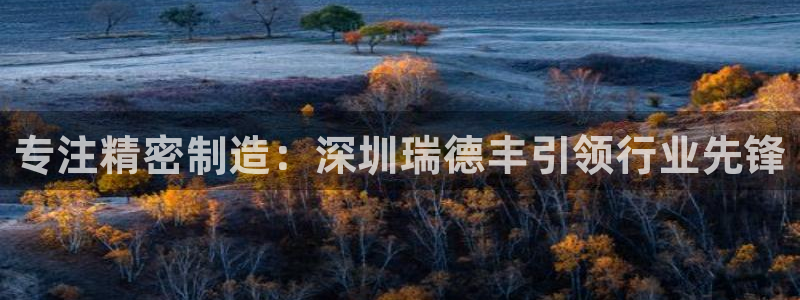 彩神8是正规平台吗是正品吗：专注精密制造：深圳瑞德丰引领行业先锋