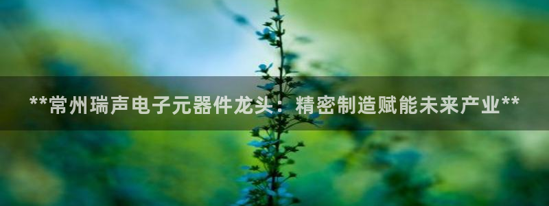 彩神VII官方版：**常州瑞声电子元器件龙头：精密制造赋能未来产业**