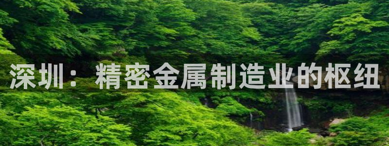 彩神平台是什么套路：深圳：精密金属制造业的枢纽