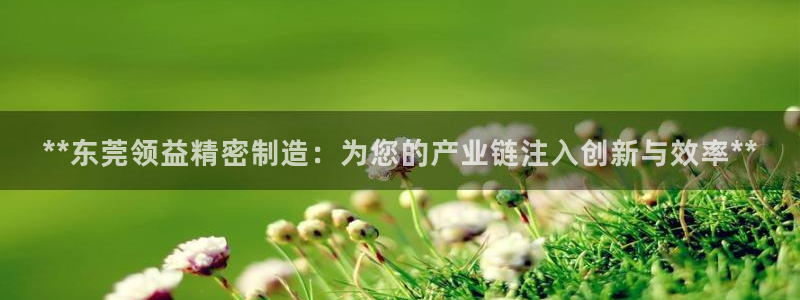 彩神网可以赚钱是真的吗：**东莞领益精密制造：为您的产业链注入创新与效率**
