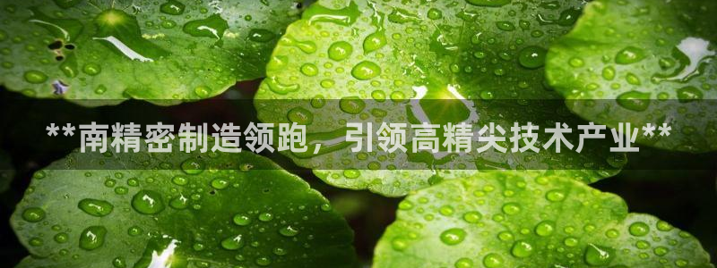 彩神输的钱是赌博还是诈骗：**南精密制造领跑，引领高精尖技术产业**