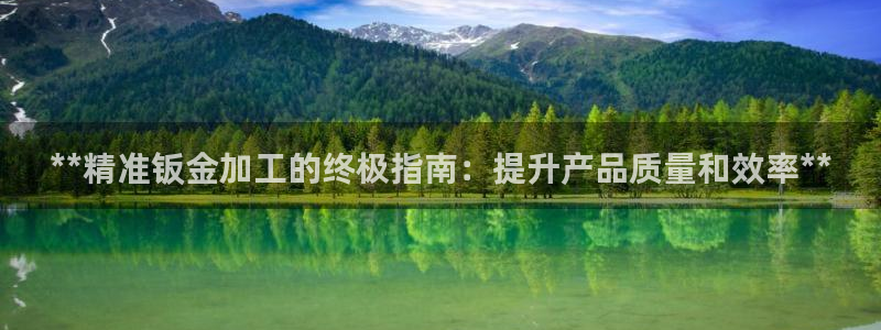 彩神争霸官方下载2017：**精准钣金加工的终极指南：提升产品质量和效率**
