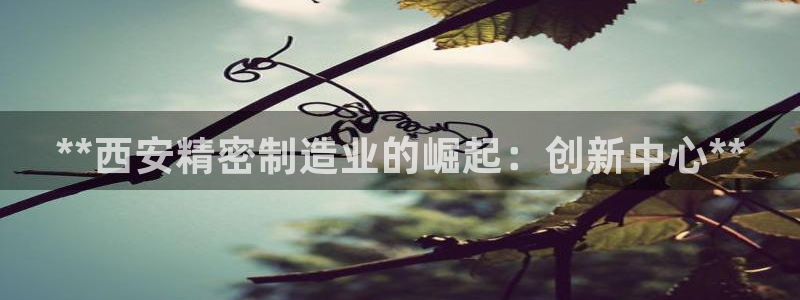 彩神ix是真的吗：**西安精密制造业的崛起：创新中心**