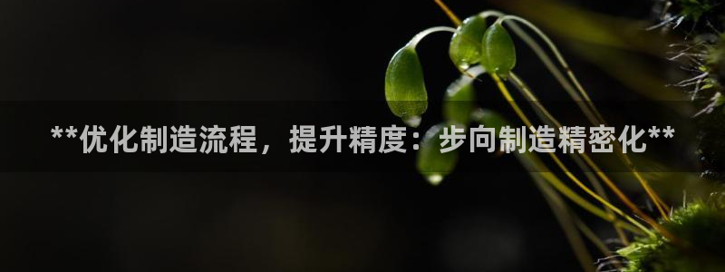 彩神vll首页环球：**优化制造流程，提升精度：步向制造精密化**