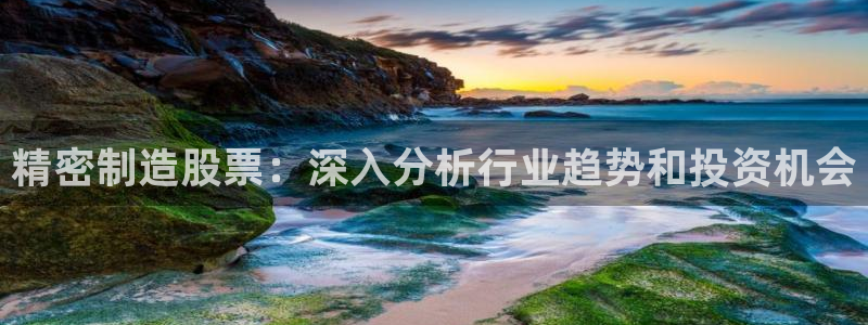 彩神平台之间是什么关系：精密制造股票：深入分析行业趋势和投资机会