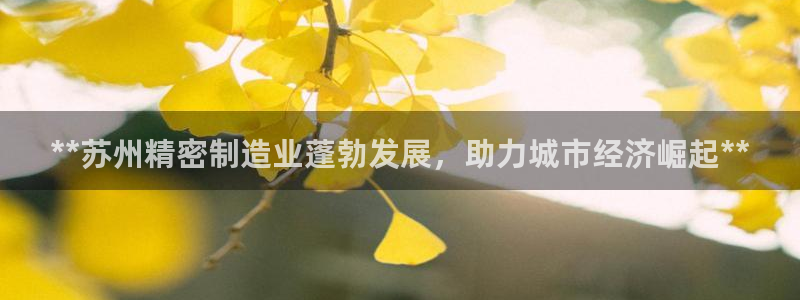 彩神v8下载app5.0：**苏州精密制造业蓬勃发展，助力城市经济崛起**