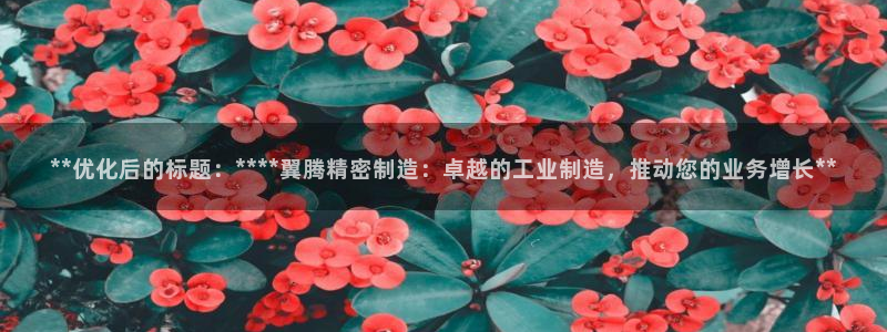 彩神8官网版是正规的吗：**优化后的标题：****翼腾精密制造：卓越的工业制造，推动您的业务增长**