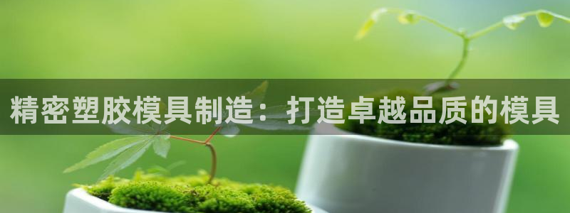 彩神ix官网是哪个公司的：精密塑胶模具制造：打造卓越品质的模具