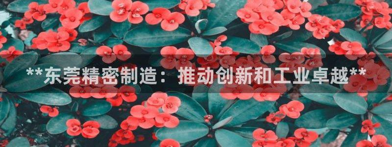 彩神xapp官方网站：**东莞精密制造：推动创新和工业卓越**