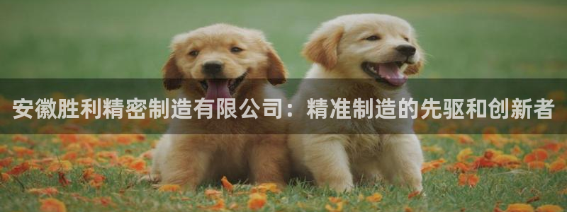 彩神邀请码:00-00-3267：安徽胜利精密制造有限公司：精准制造的先驱和创新者