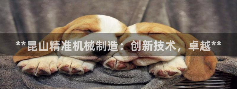 彩神v8购彩大厅登：**昆山精准机械制造：创新技术，卓越**