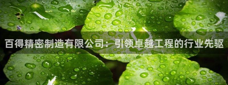 彩神velcome购彩大厅：百得精密制造有限公司：引领卓越工程的行业先驱