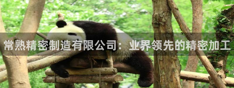 彩神v破解版：常熟精密制造有限公司：业界领先的精密加工