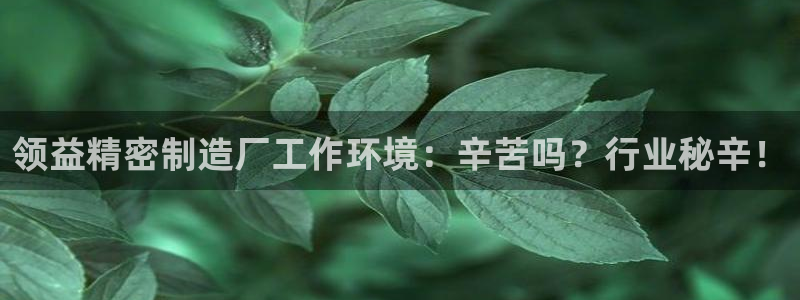 彩神ⅴll是什么样平台：领益精密制造厂工作环境：辛苦吗？行业秘辛！