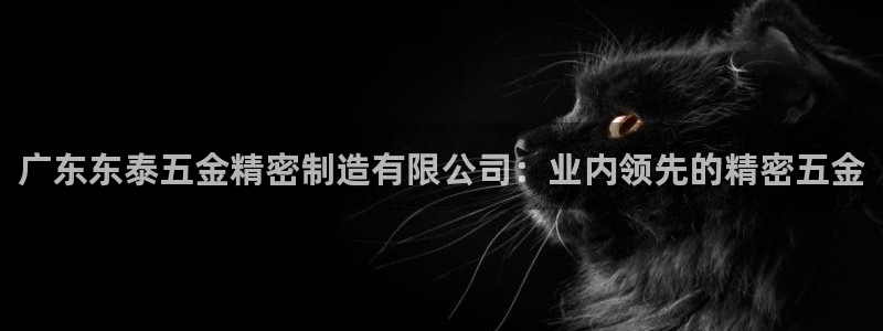 彩神购彩-购彩大厅入口：广东东泰五金精密制造有限公司：业内领先的精密五金