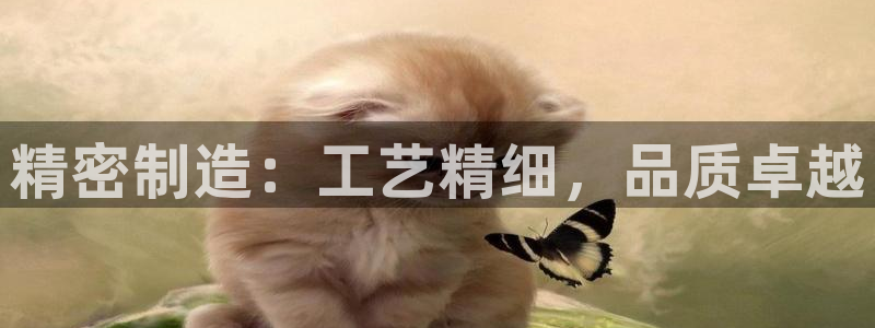 彩神平台是真的吗：精密制造：工艺精细，品质卓越