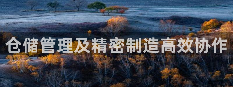 彩神viii官网：仓储管理及精密制造高效协作