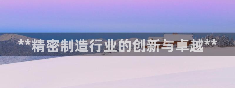 彩神Vll购彩大厅：**精密制造行业的创新与卓越**