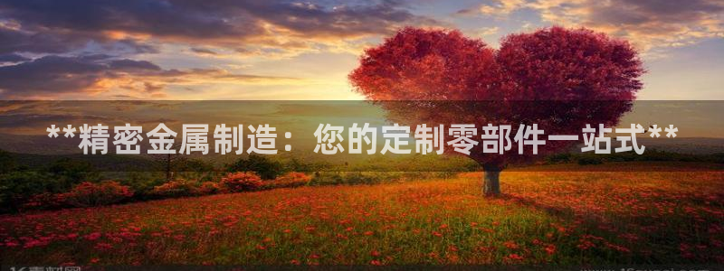 彩神团队是真的吗：**精密金属制造：您的定制零部件一站式**