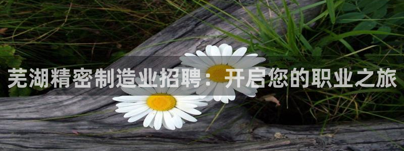 彩神网正规吗：芜湖精密制造业招聘：开启您的职业之旅