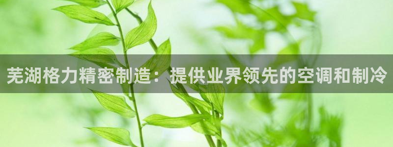 彩神争霸官方下载：芜湖格力精密制造：提供业界领先的空调和制冷
