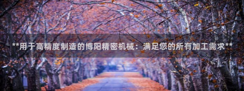 彩神ix能赚钱吗：**用于高精度制造的博阳精密机械：满足您的所有加工需求**