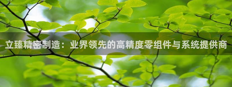 彩神Vii购彩-购彩大厅：立臻精密制造：业界领先的高精度零组件与系统提供商